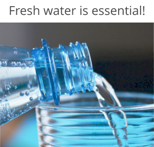 Fresh water is essential!